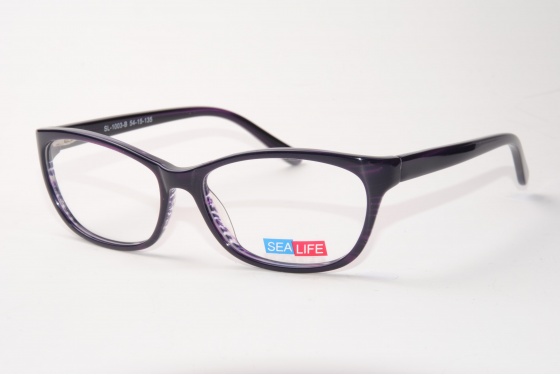 sl-1003-b