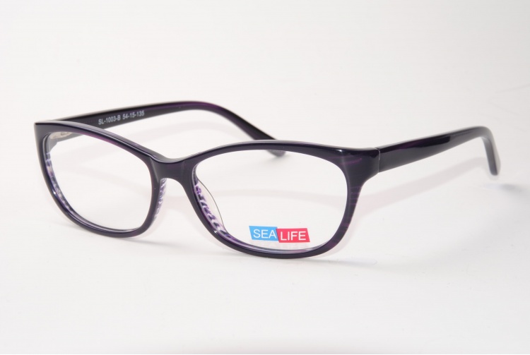 sl-1003-b