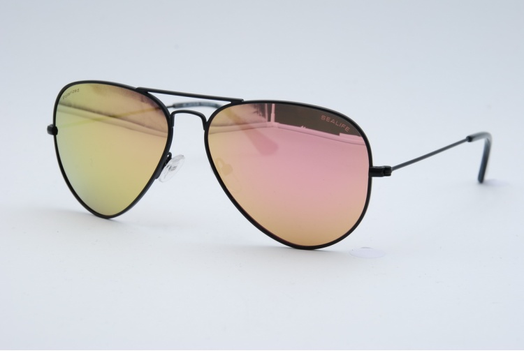 sl-2010-b-pim